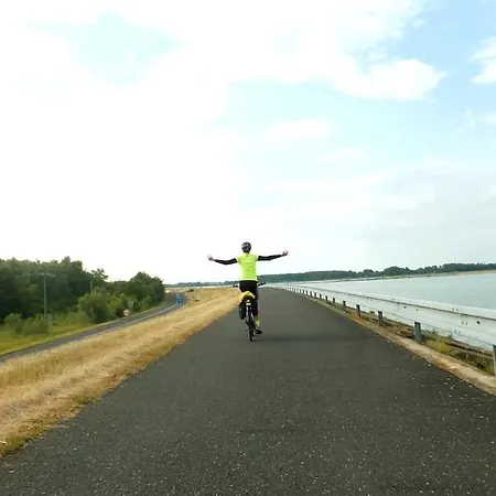 Lejlighed Calm Luxury Original Artworks Free Parking *